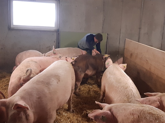 Berufswunsch Landwirt/In?